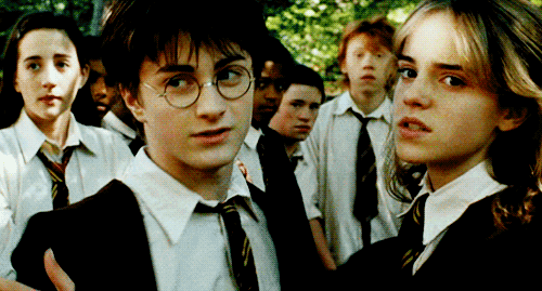 (( hermione )) — .･✧ it’s sort of exciting isn’t it? breaking the rules. Harry-potter-gifs-harry-potter-17540461-500-269